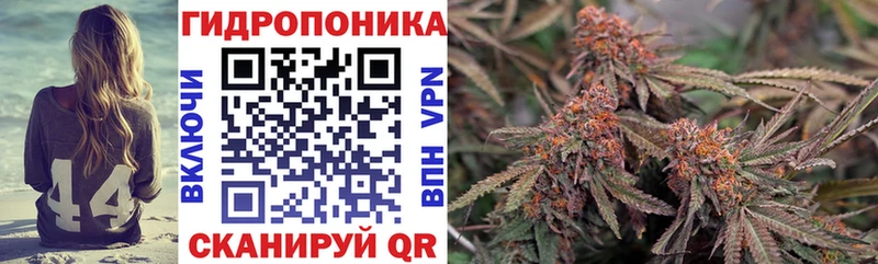 Как найти наркотики Камышлов ГАШИШ  Канабис  hydra зеркало  МЕФ  АМФ 