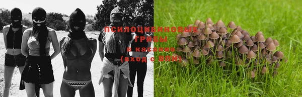 марки lsd Надым