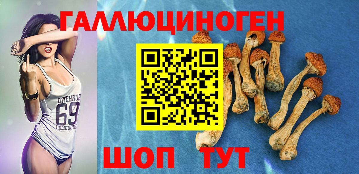 Псилоцибиновые грибы прущие грибы Камышлов