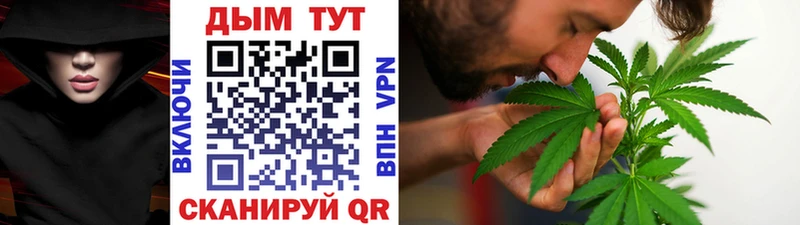 Конопля гибрид  блэк спрут сайт  Камышлов 