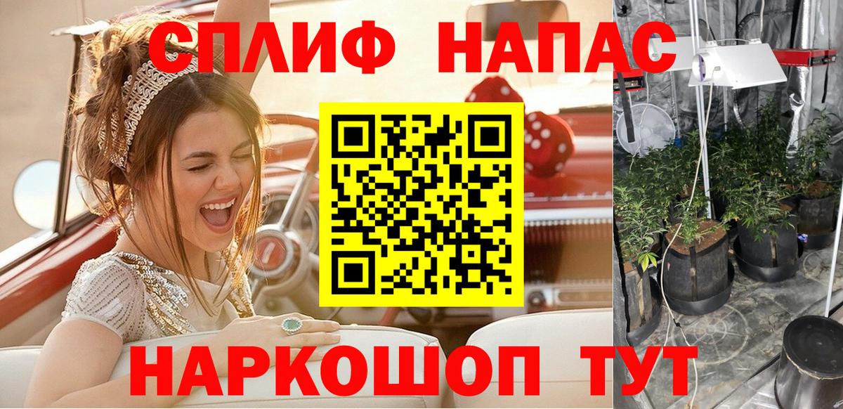 Бошки марихуана сатива Камышлов